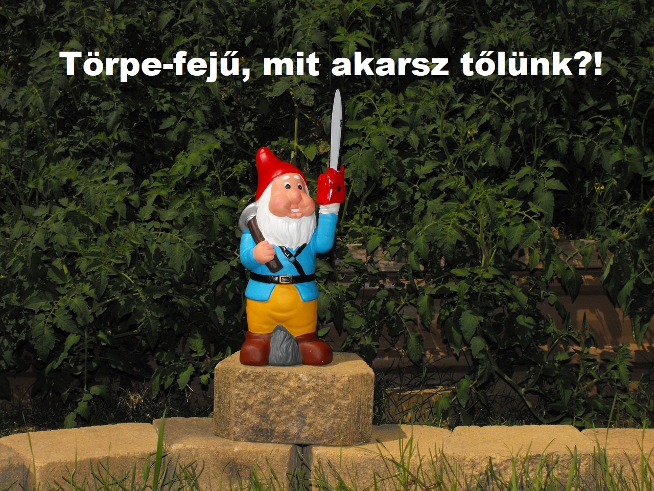 kerti törpe felemelt kivont karddal